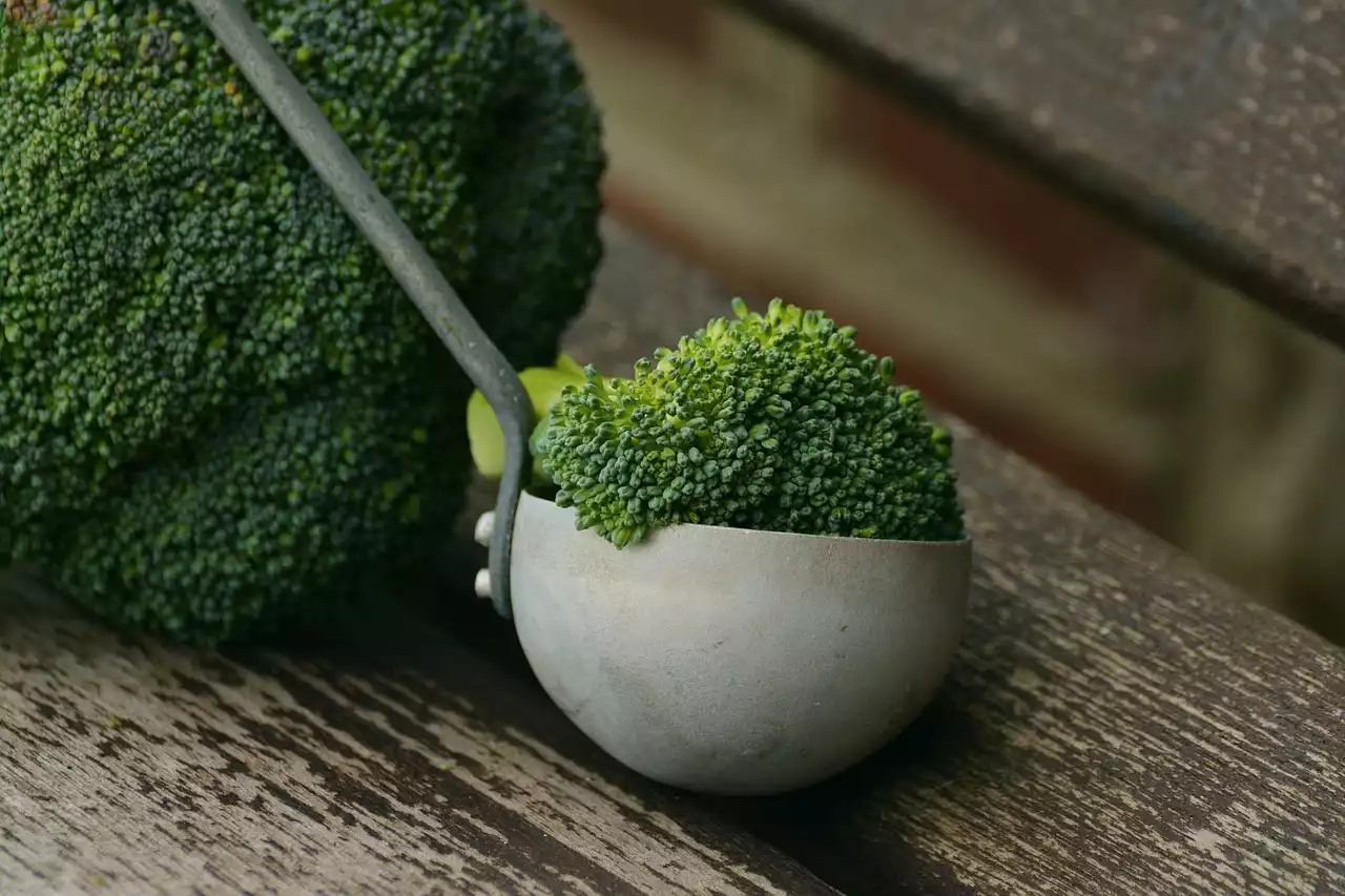 植物性饮食终极指南：提示和食谱